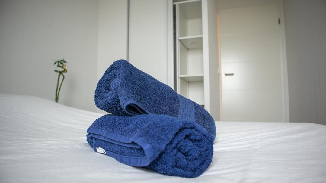 Apartment Rooftop Avec Vue Sur Les Pyrenees Et Jacuzzi, Au Pied Du Zenith Toulouse