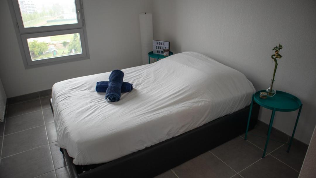 Appartement Rooftop Avec Vue Sur Les Pyrenees Et Jacuzzi, Au Pied Du Zenith